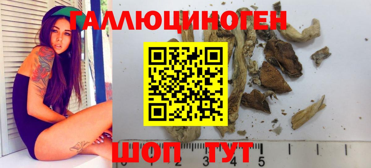 Галлюциногенные грибы мухоморы Лениногорск